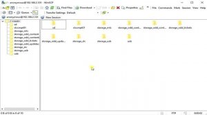 [Wii U] Arbitrary File System Access [FTPiiu Everywhere Tutorial]