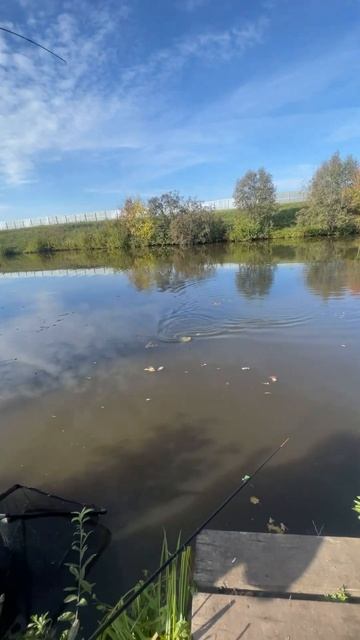 Карп 3 кг смотреть онлайн