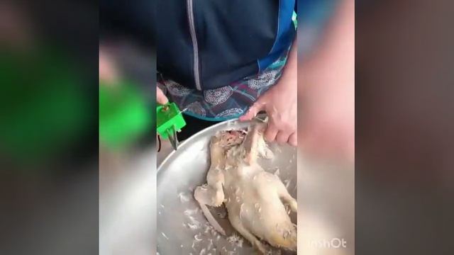 Перосьемная машина для курей, гусей, уток, перепелов смотреть онлайн