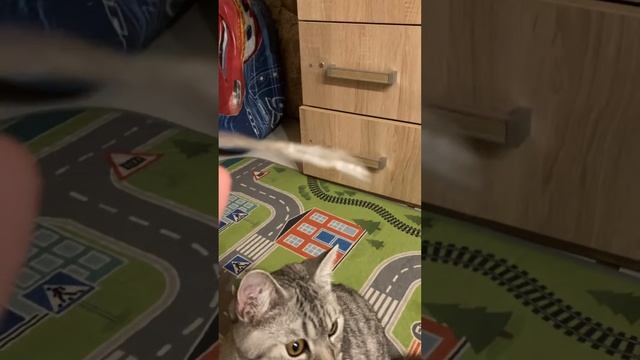 Паутина Человека Паука смотреть онлайн