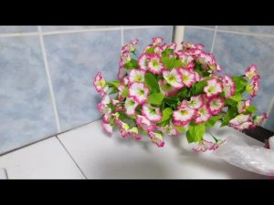Свиные почки,вкусно без запаха