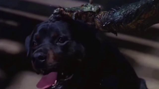 Мартинфлай (муха 2) vs Химера (анонс) смотреть онлайн