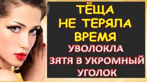 Тёща уволокла зятя в укромное место...Интересные истории из жизни. Аудиорассказ