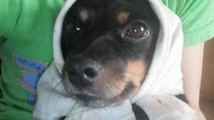 Делаю бумажные сюрпризы