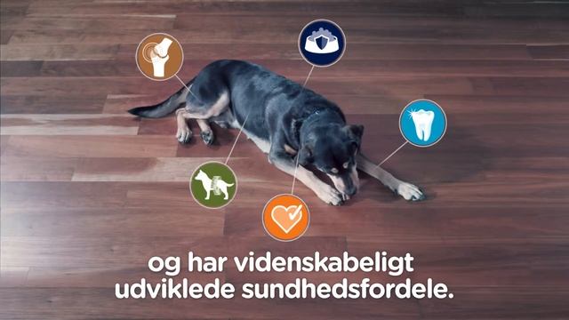 Nye godbidder fra Hill's смотреть онлайн