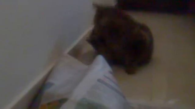 Persey-Artur (Persic) 10 смотреть онлайн