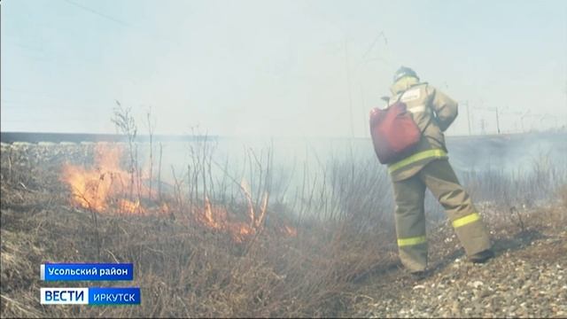 Пять лесных пожаров потушили на территории Усольского лесничества с начала месяца