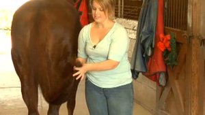 How to Put an Extension in a Horses Tail : How to Trim a Horse Tail Extension