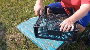 Каркасы для укрытия роз из пластиковых ящиков.