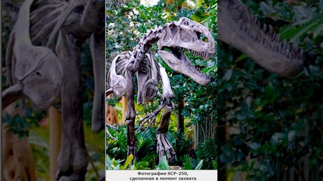 SCP-250 Скелет аллозавра (Евклид) смотреть онлайн