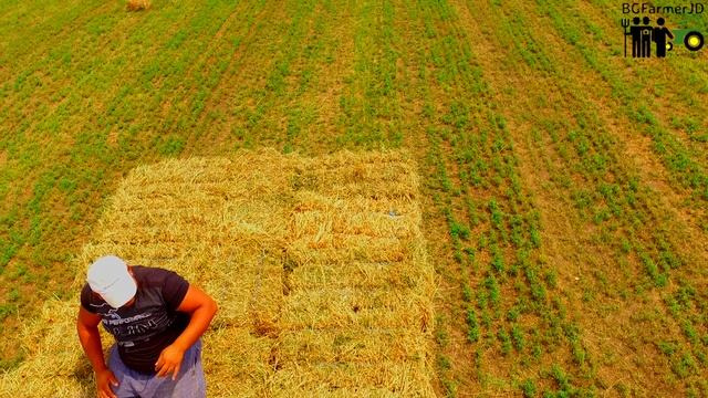 🇧🇬 Drone View🚜 JD 5820 & JD 2140 Alfalfa square bales elevator Loading + Transport Bulgaria, Zadrug смотреть онлайн