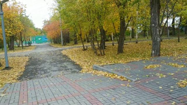 Последние краски осени! Любимый  Парк! Парк культуры и Отдыха Сад имени Кирова!Часть вторая.