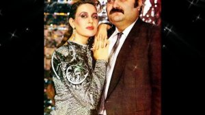 ion si doina aldea teodorovici