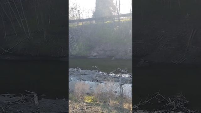 Кальмиус Донецк