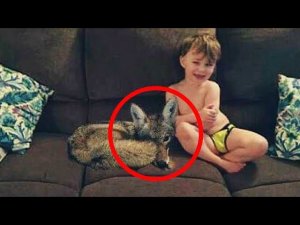 Жена написала мужу, что нашла собачку, но когда он посмотрел на фото, то чуть не поседел!