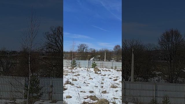 VID_20250414_130157