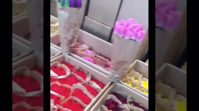 Голландские тюльпаны