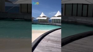 Обзор отеля W Maldives 5* Fesdhoo Island