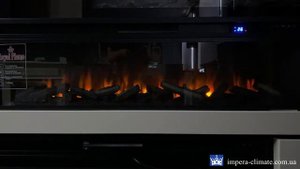 Royal Flame Vision 60 LED та Royal Flame Vision 60 LOG LED. Нові моделі 2021 року !!