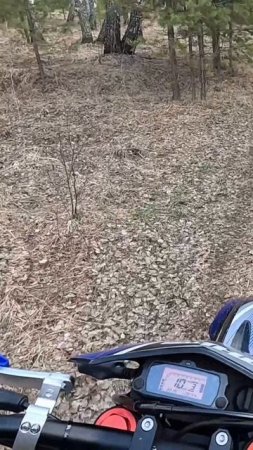 На эндуро мотоцикле по лесу