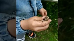 Отрывок- Как проходило ЛеЧеНиЕ Городские Колхозники