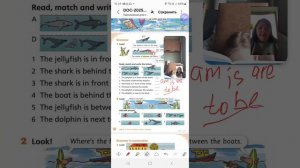 стр 94, 93. unit 9, English World 2, 🌎 УРОКИ АНГЛИЙСКОГО🇬🇧 +79676250268📱✍️ тестирование бесплат