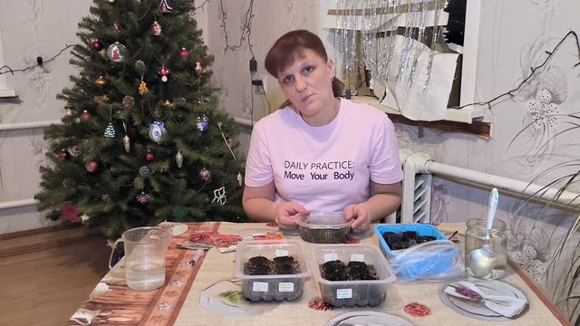 Бегония ампельная и петуния_первые посевы. Семена каких производителей взошли. Первые потери сезона