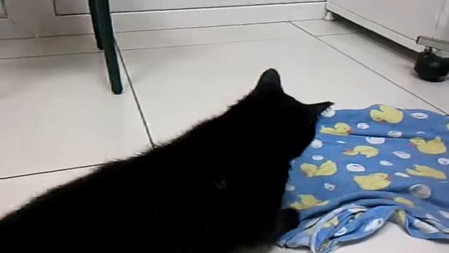 Видео 0032 смотреть онлайн