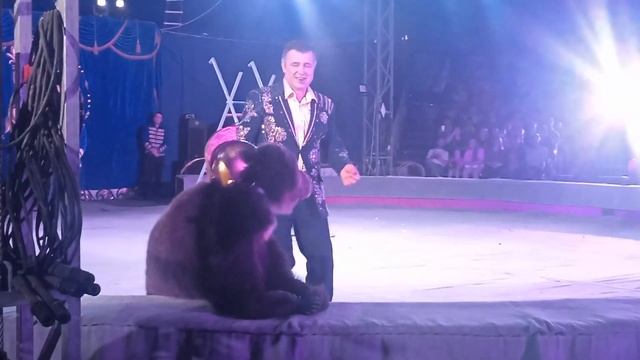 Ростовский Цирк Шапито в Мариуполе 10.06.2023 смотреть онлайн