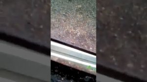 Мангал из баллона обзор