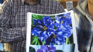 ДФ.Съезд селекционеров. Марина Иванова, г.Новосибирск