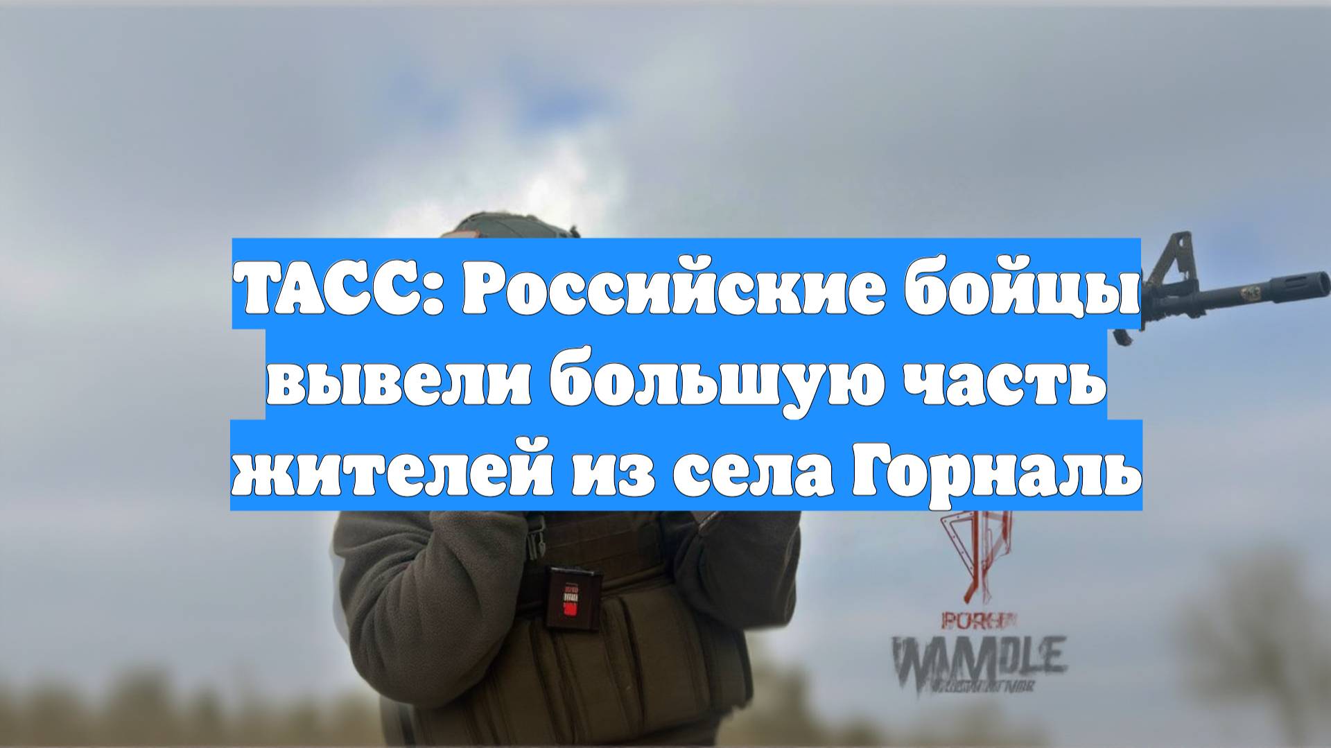 ТАСС: Российские бойцы вывели большую часть жителей из села Горналь