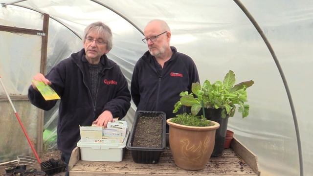 Grow a Salad Bar смотреть онлайн