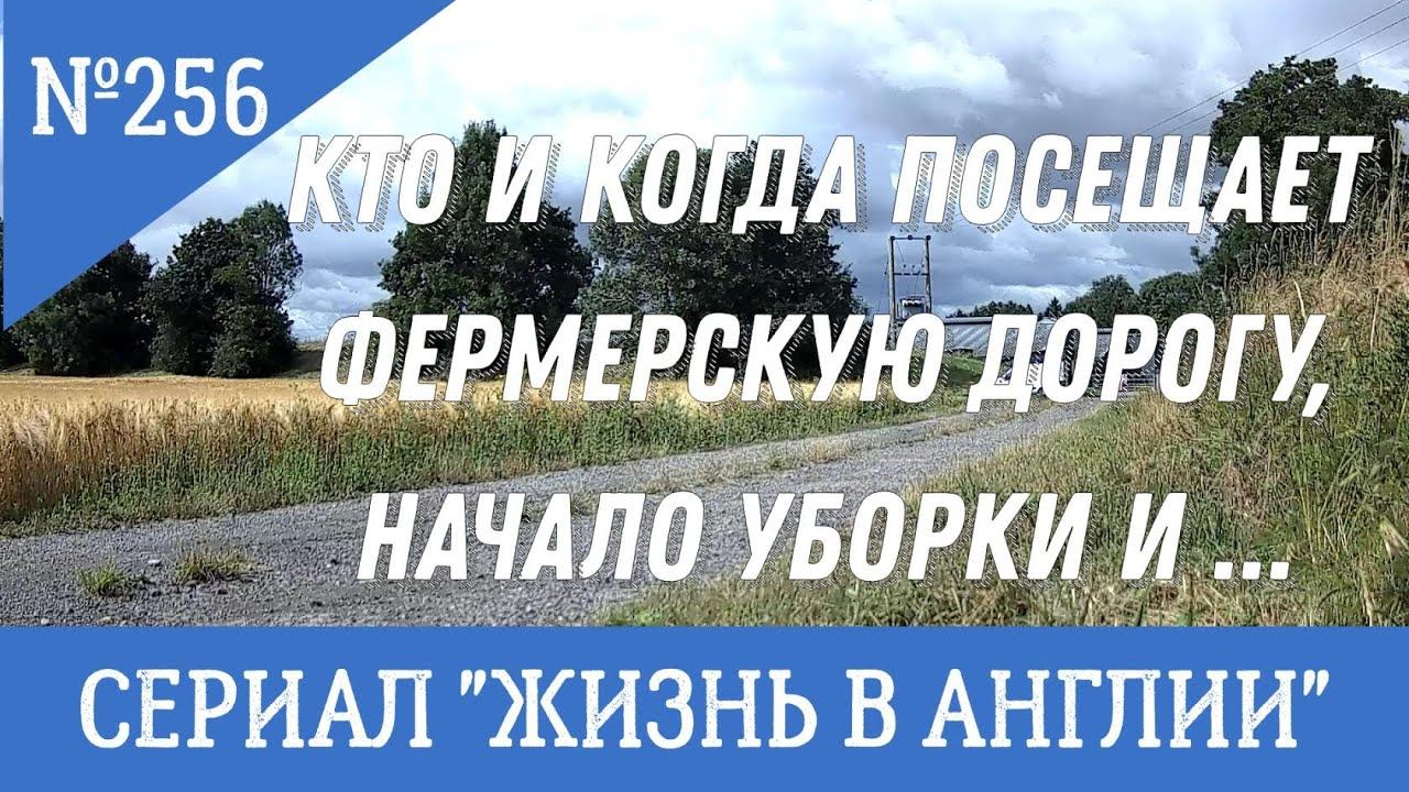 Кто и когда посещает фермерскую дорогу, начало уборки и ... №256 Жизнь в Англии