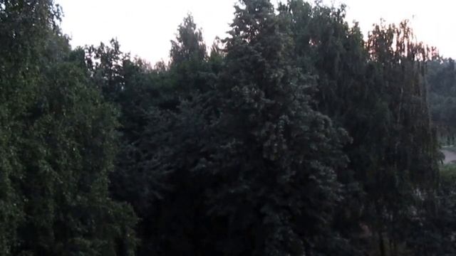 Позитив. Утренняя птица поет на заре у моего окна смотреть онлайн