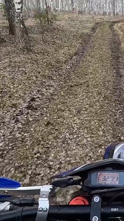 Эндуро покатушки по лесу