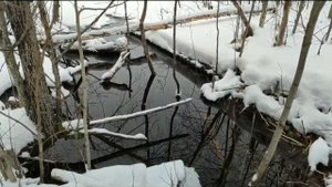 Рыбалка на Задних озёрах.Поймали огромную щуку.