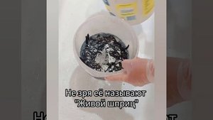 Распаковка пиявочек