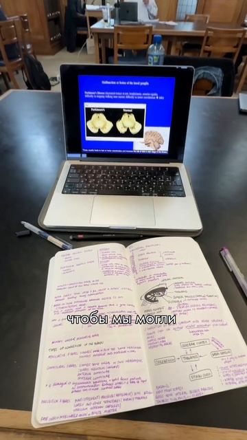 Как проходит учеба в Великобритании 🧠🎓 #shorts смотреть онлайн