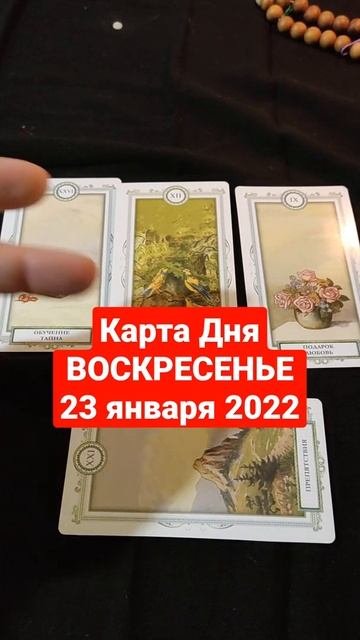 Карта Дня на воскресенье 23 января 2022 года #картадня #картадняленорман #гаданиеонлайн #таро