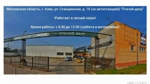 Объявления, открытие птичьего рынка в Клину