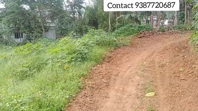 20 cent plot for sale in pala moonani #plotforsale #20cent #landforsale #landsales #land 132