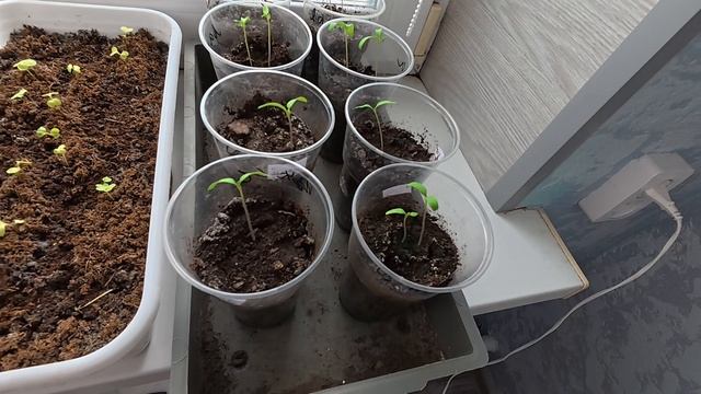 Наработал, пока меня дома не было