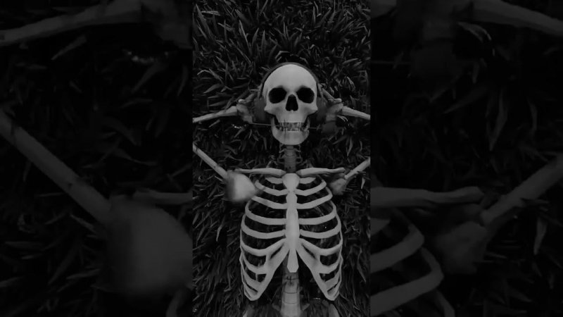 Svyat Barbara   Туман  Snippet 2023  #hiphop  #barbara  #rap  #музыка  #music