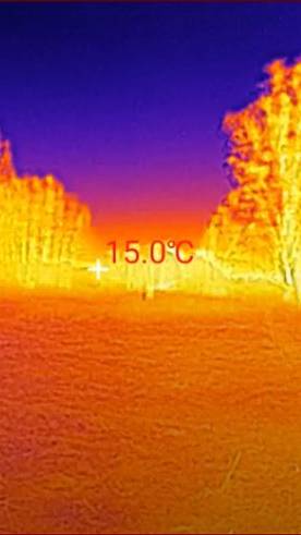 Телефон с тепловизором Doogee s 98 pro