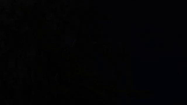 Poe mie / Пою мое смотреть онлайн