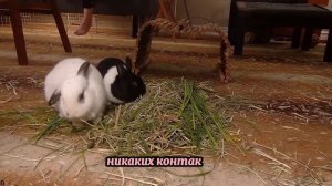 На день рождения сына — застал измену жены с любовником дома - Измена Жены - Драмы Судьбы