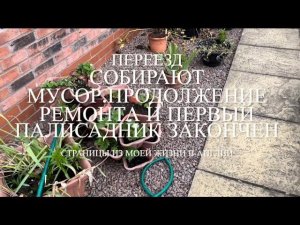 Переезд. Собирают мусор Продолжение ремонта Первый палисадник готов №362 Жизнь в Англии