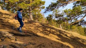 Столбы 12.04.2025