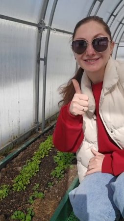 ❄️На улице снег, а у нас в теплице свежая, сочная зелень🌱